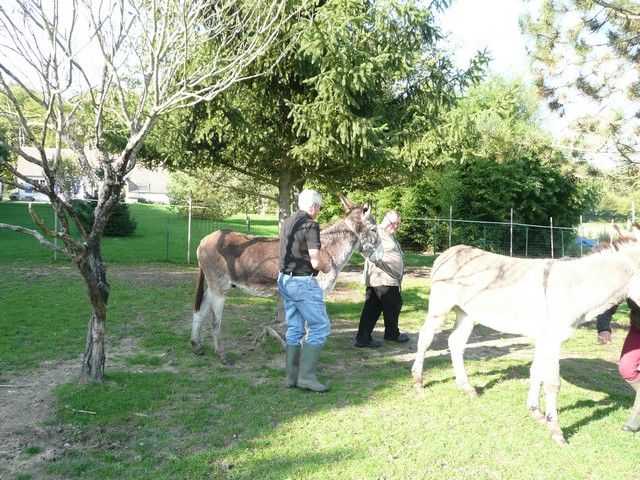 Balthazar et leonard Arrivee (7).jpg